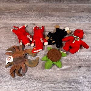 TY Teenie Beanie Babies Collection‎ Random Assortment